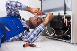 professional-fridge-repair